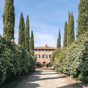 Chiccheio Montepulciano